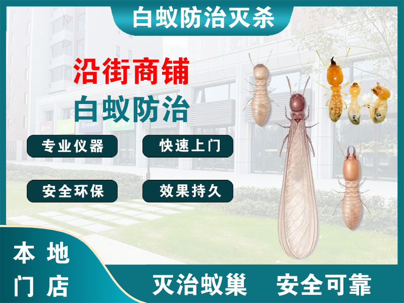 海安沿街商铺白蚁防治