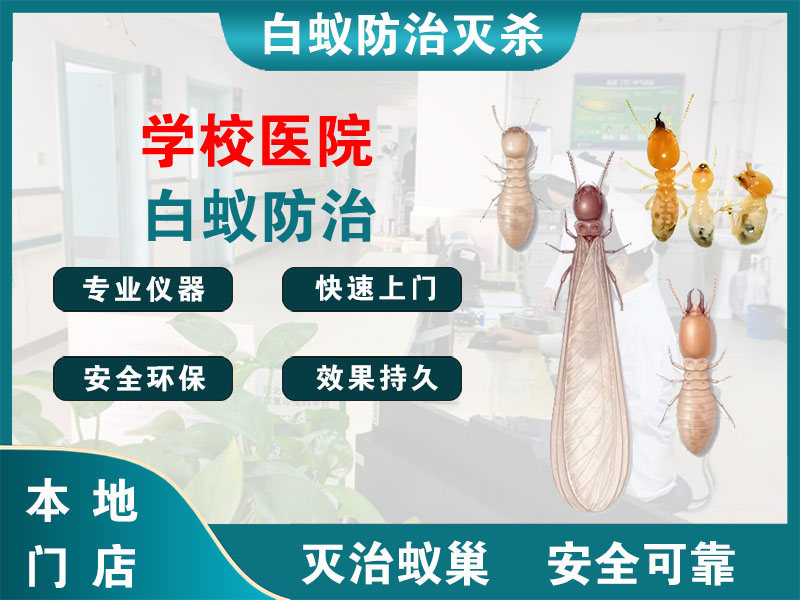 海安学校医院白蚁防治