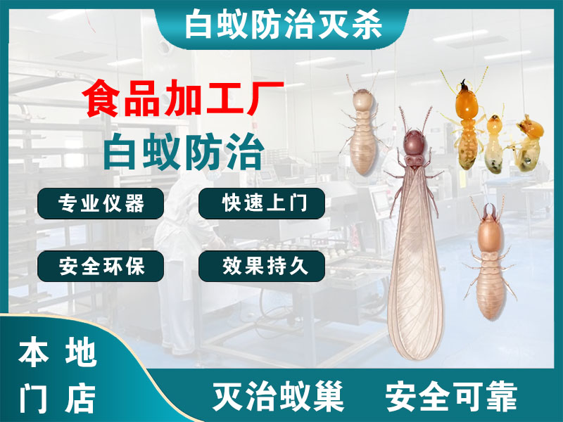 海安食品加工厂白蚁防治
