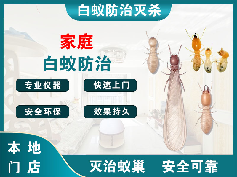 海安家庭白蚁防治