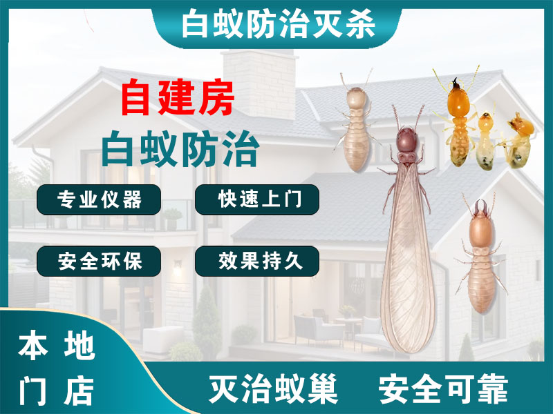 海安自建房白蚁防治