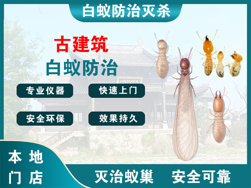 海安古建筑白蚁防治