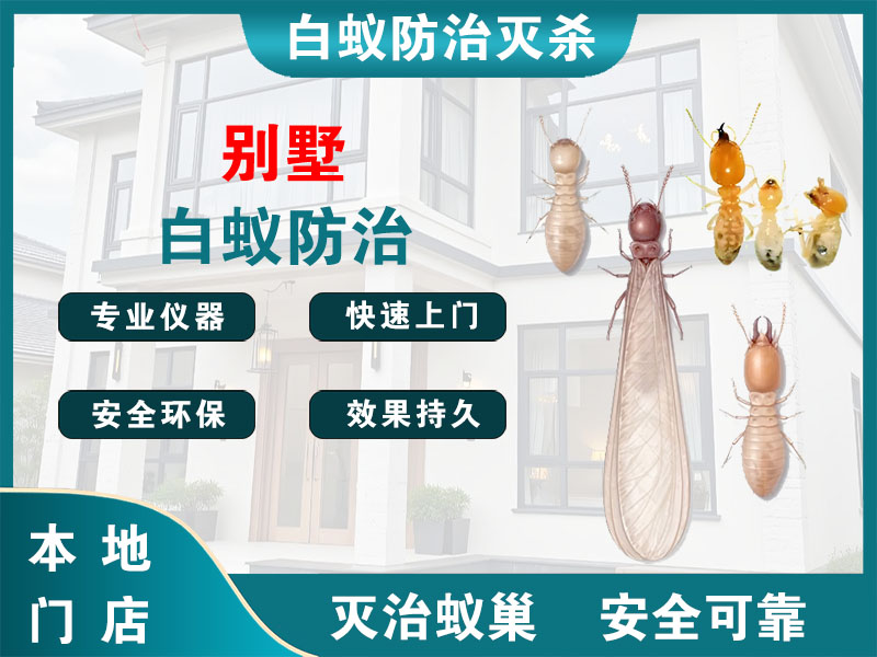 海安别墅白蚁防治