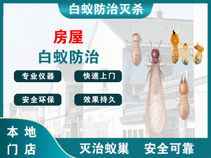 海安房屋白蚁防治